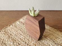 Load image into Gallery viewer, Geometric Walnut Air Planter