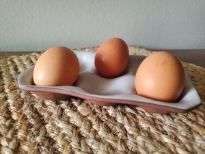 Egg Tray