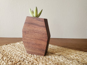 Geometric Walnut Air Planter