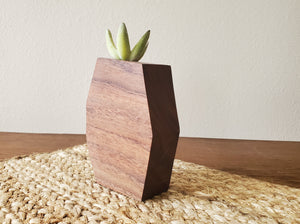 Geometric Walnut Air Planter