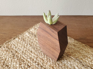 Geometric Walnut Air Planter