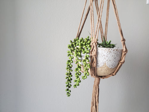Hanging Planter - 2