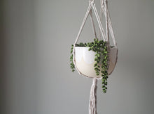 Load image into Gallery viewer, Hanging Planter Set No.1