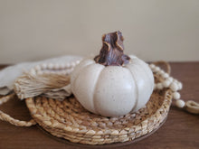 Load image into Gallery viewer, Pumpkin #9